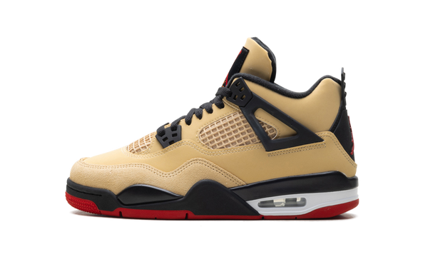 Air Jordan 4 GS 1